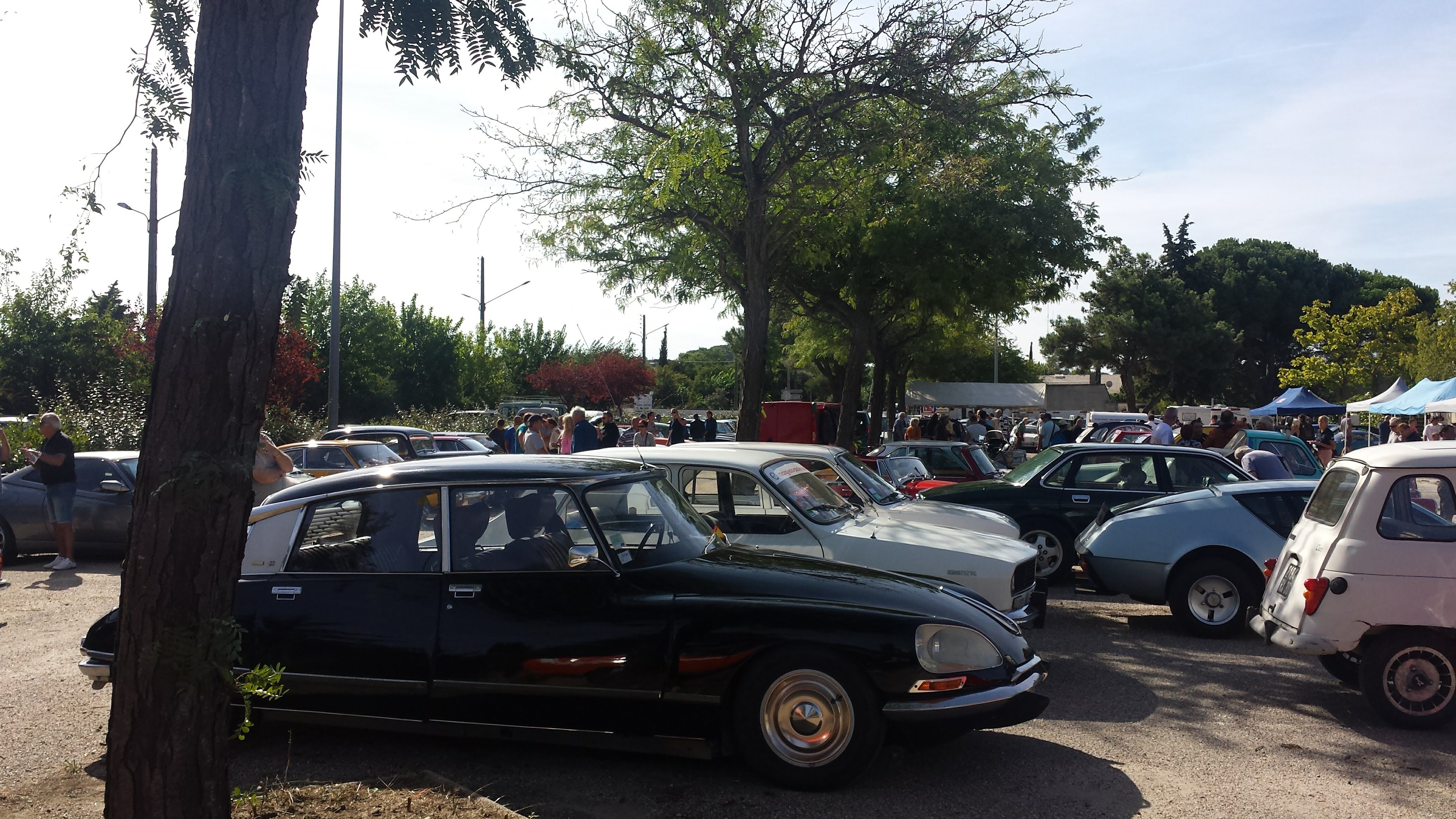 Rassemblement auto des Anciennes de Camargue