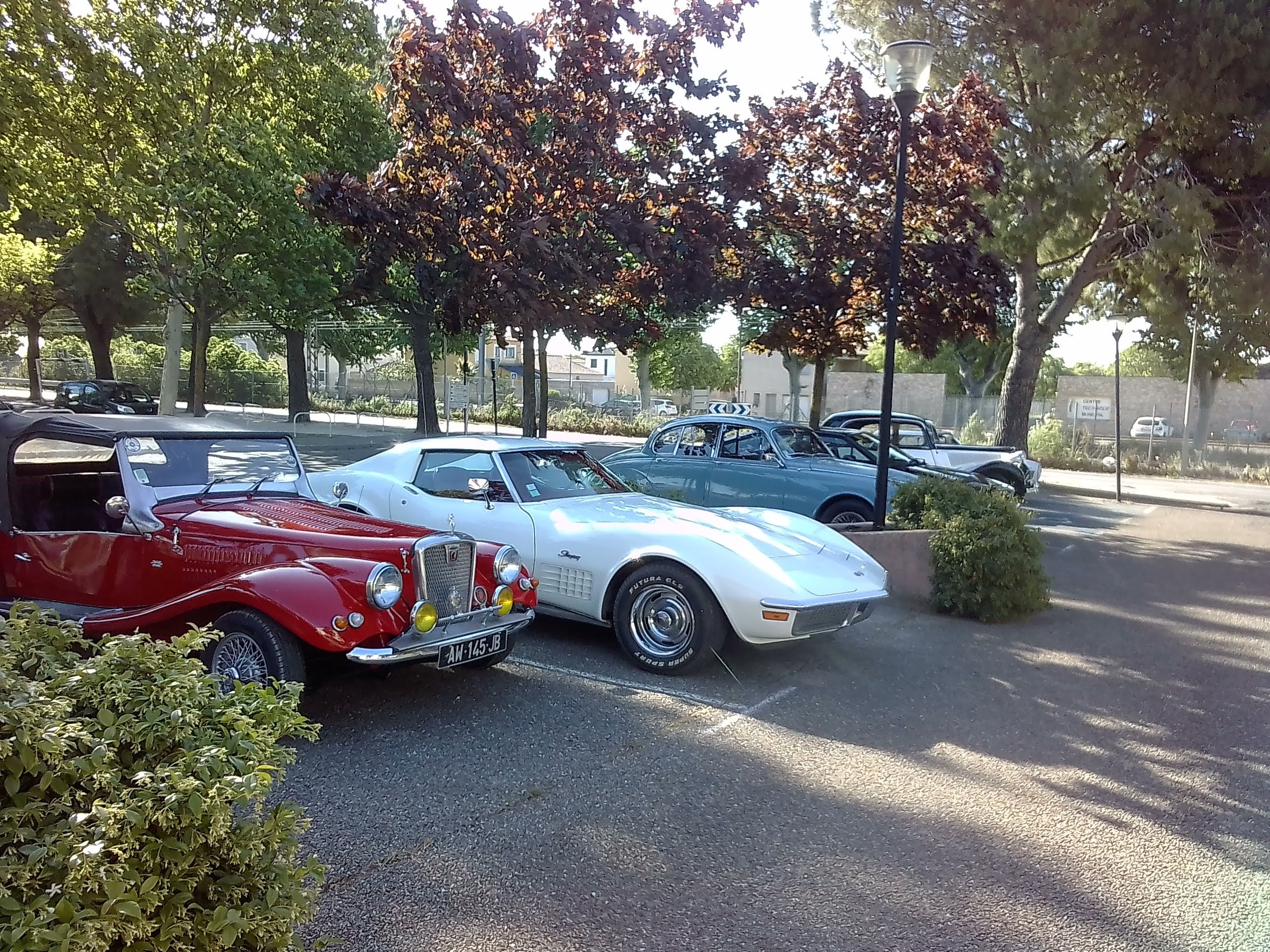 Rassemblement auto des Anciennes de Camargue