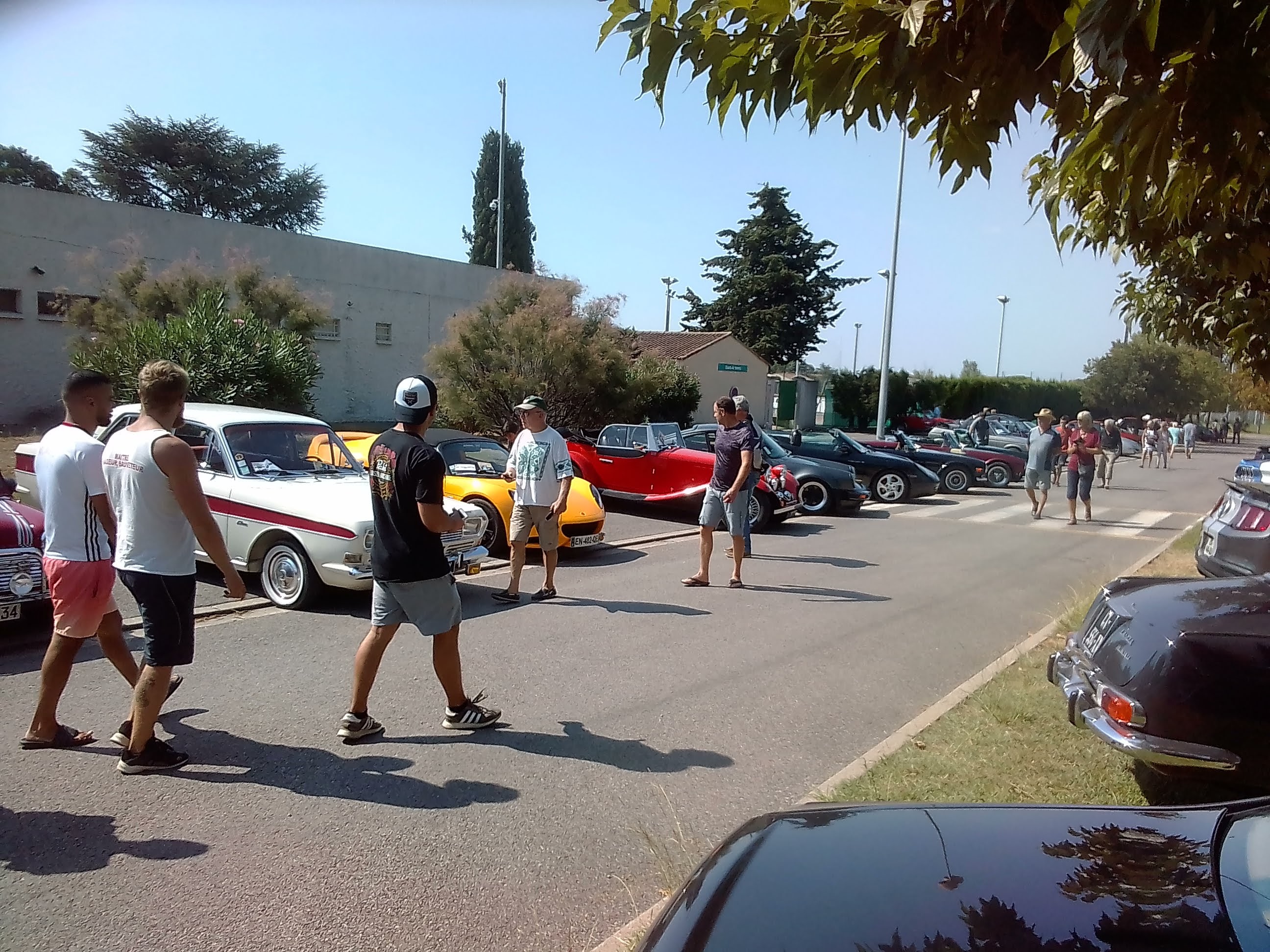 Rassemblement auto des Anciennes de Camargue