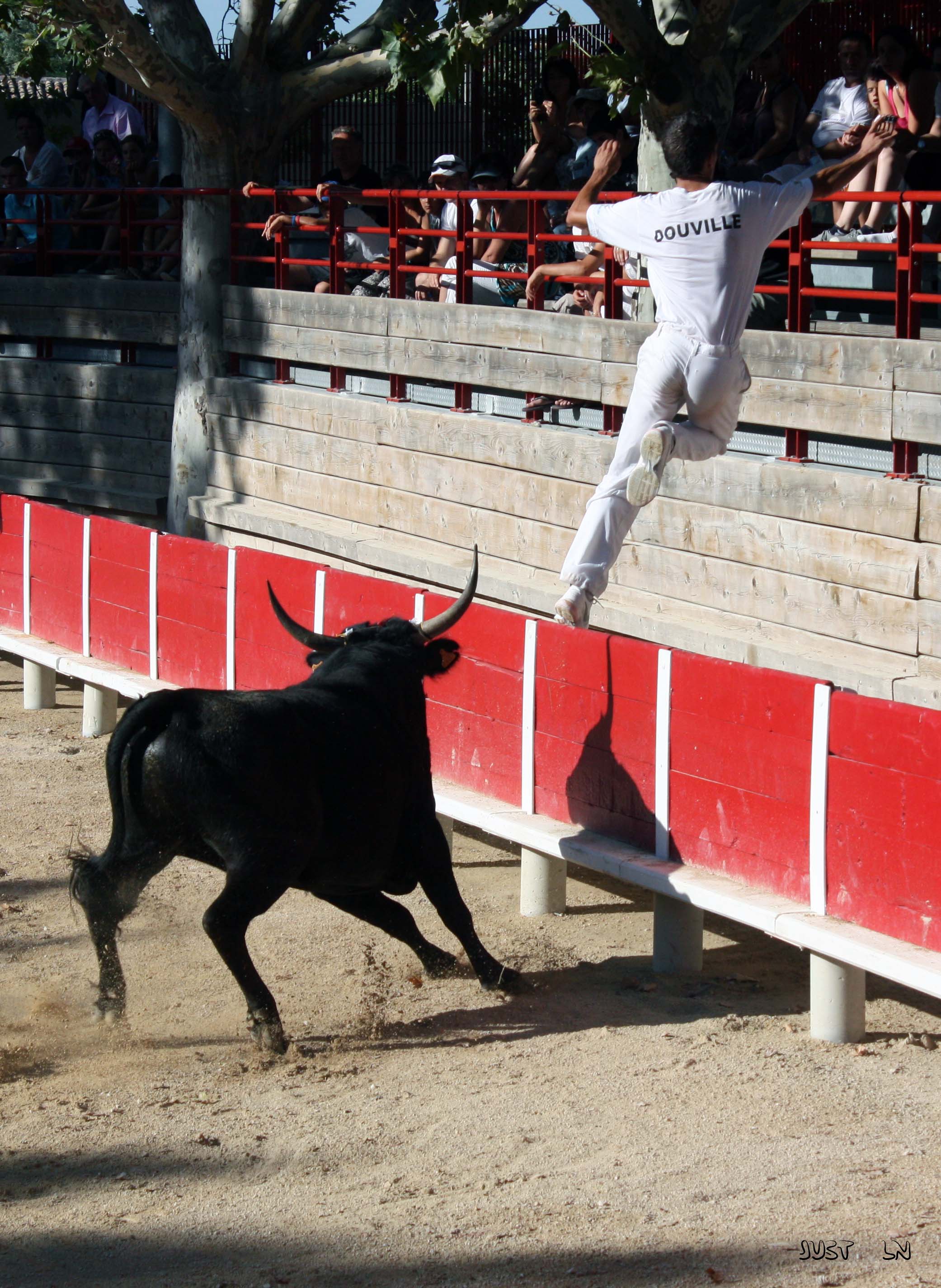 Course camarguaise  - Aimargues - CT Balestilla