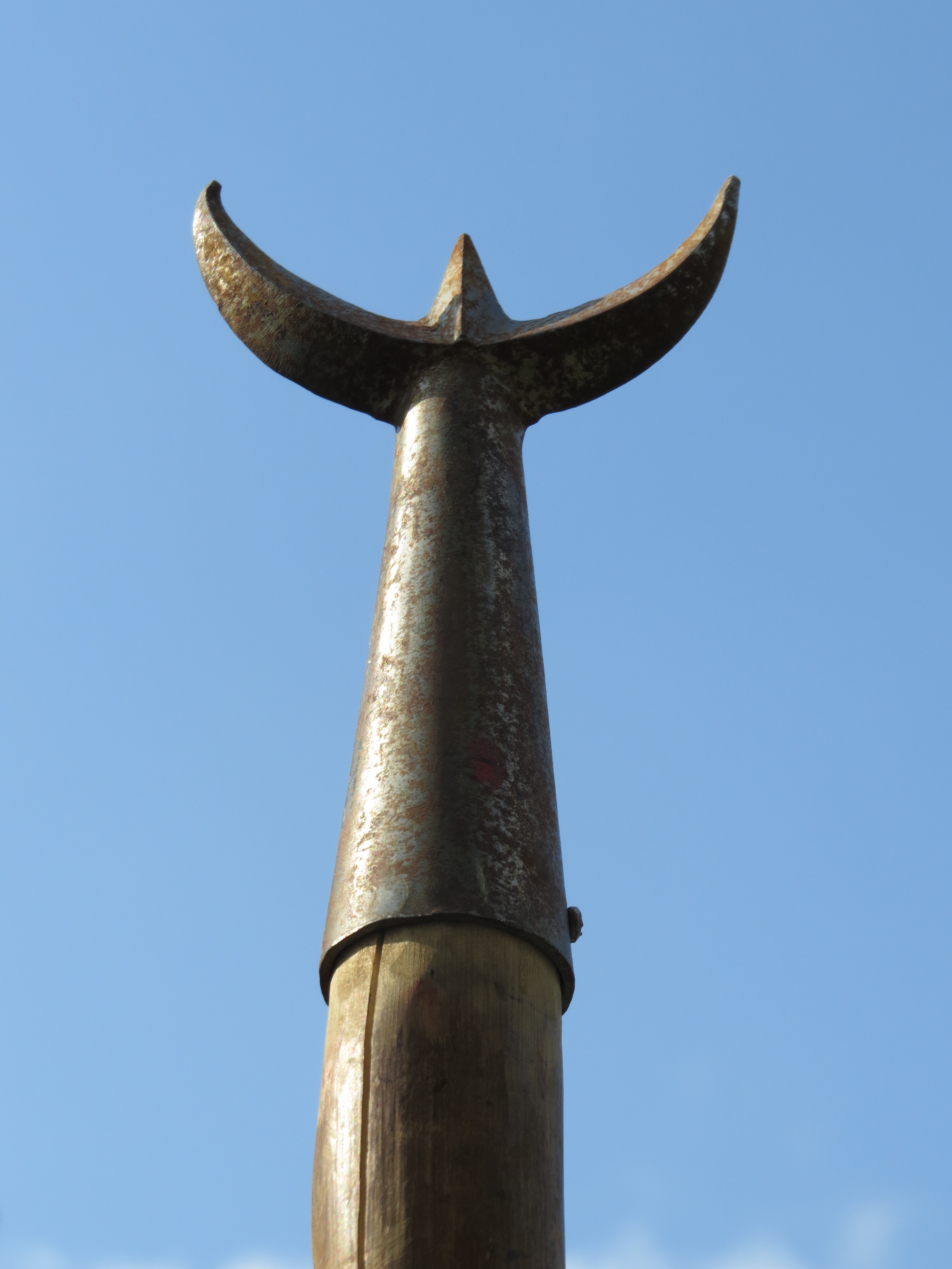 Journée taurine - Les Amis de la Camargue - Vendredi 15 mai à Vauvert