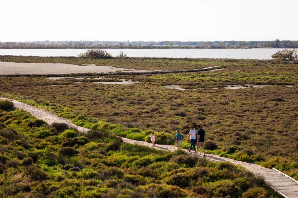 Marette - Visites guidées