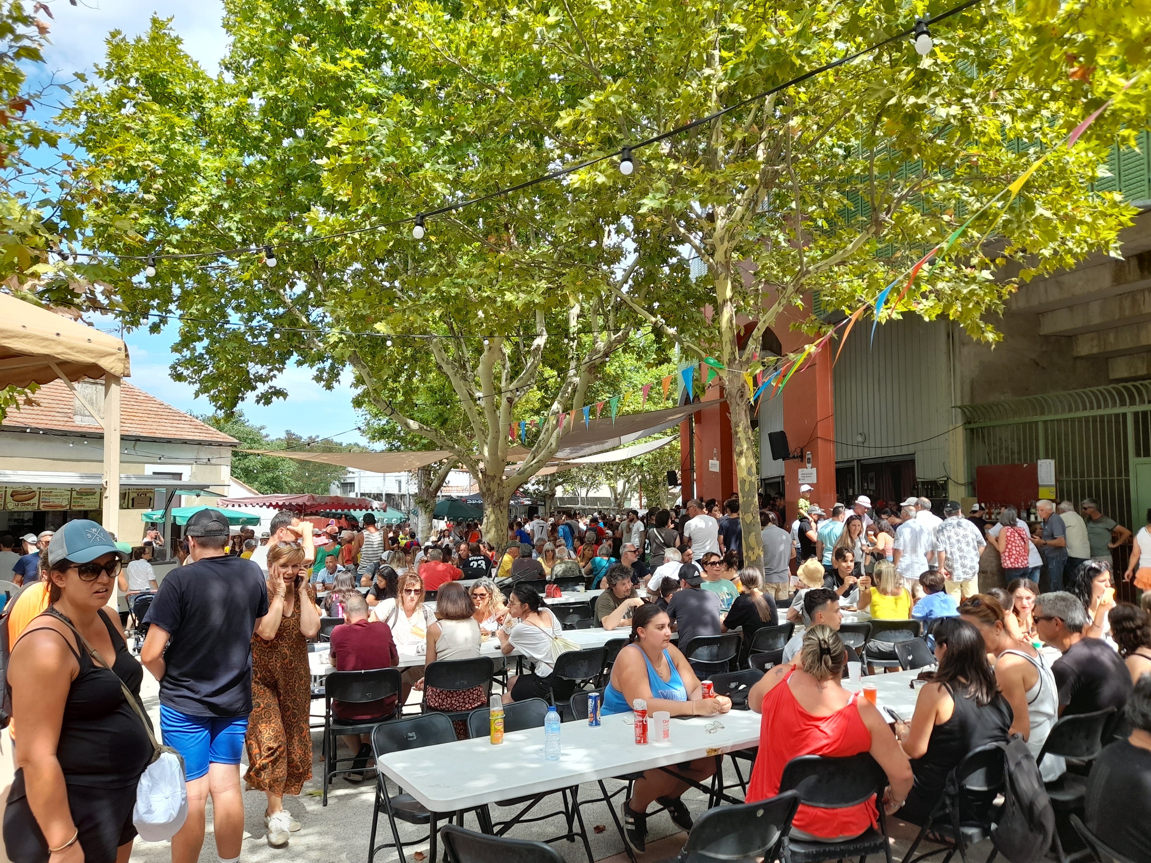 Vauvert Village Festival - Arena Atmosphere