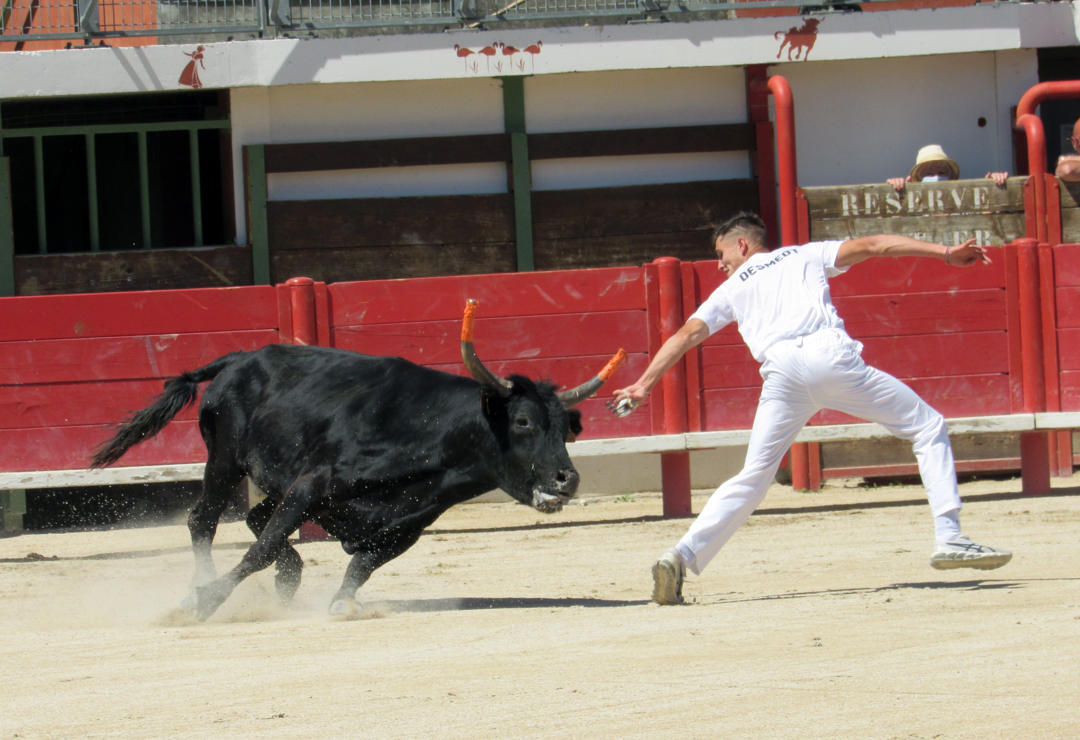 C Ot Coeur de Petite Camargue
