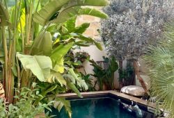 la maison du trident à vauvert