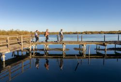 Centre du scamandre Gallician