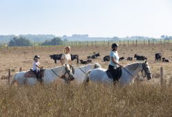 On horseback at Théo Beauvoisin's