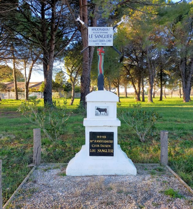 tombe le sanglier le cailar