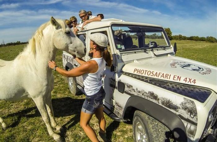 camargue sauvage