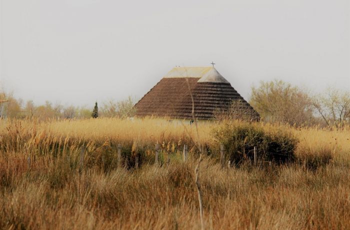 cabane gardian camargue