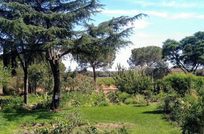 saveurs du bourgarel gallician