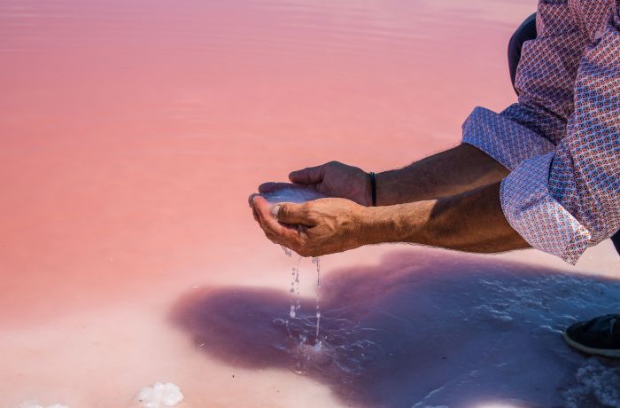 L'incoyable évasion