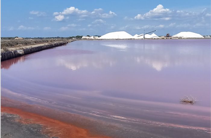 L'incoyable évasion