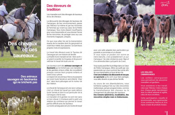 guide touristique camargue