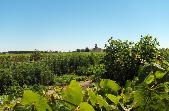 meublé les pierrades à Montcalm extérieur potager et vue chapel