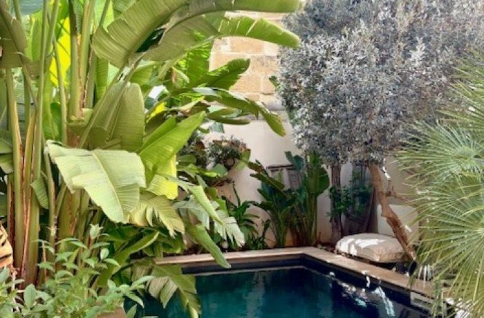 la maison du trident à vauvert