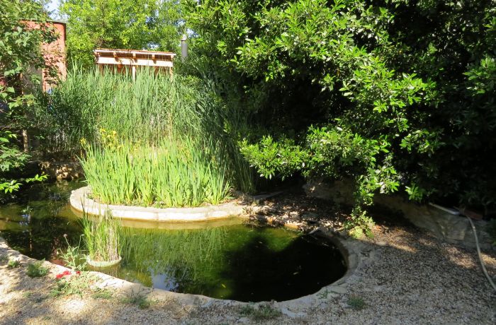 chambre dortoir l'accueil naturel bassin aquatique