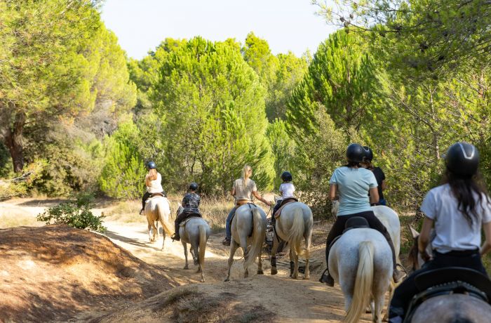 promenade à cheval camargue chez théo beauvoisin