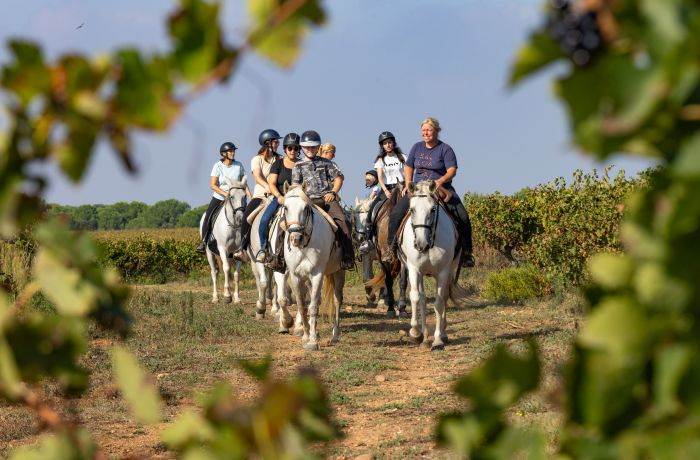 promenade à cheval camargue chez théo beauvoisin