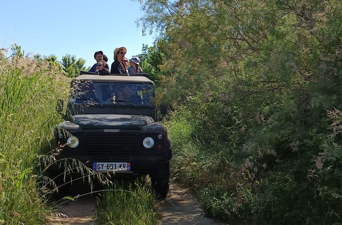 Karine Safari Heart of the Camargue