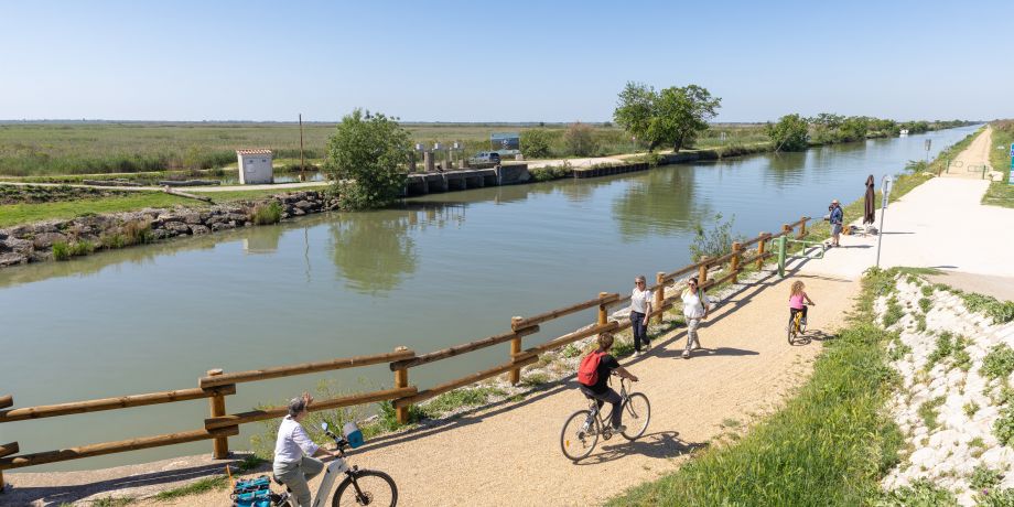 Mai à vélo Petite Camargue